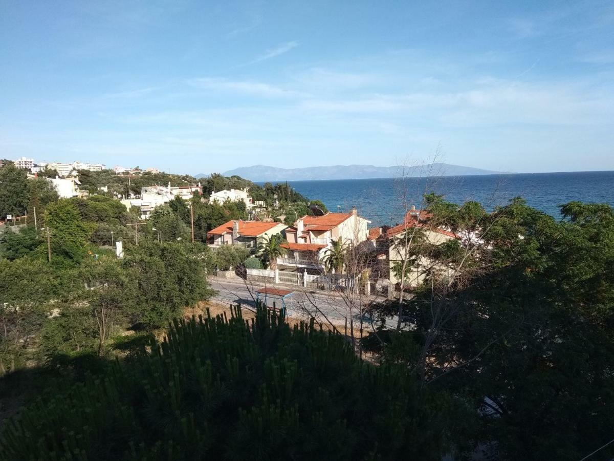 Palio Kavala Villa PalaiónTsiflíkion Exteriör bild